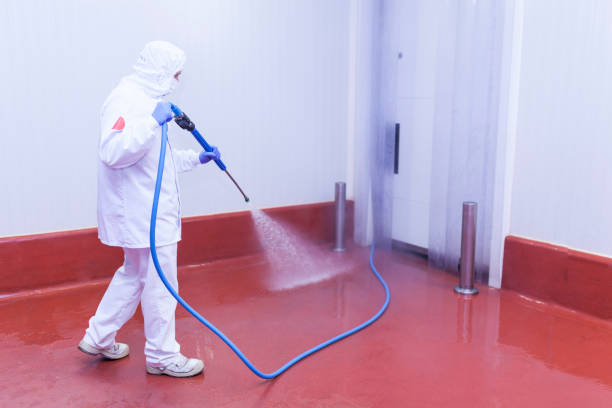 Pre-Holiday Cleaning in Greenbriar, FL